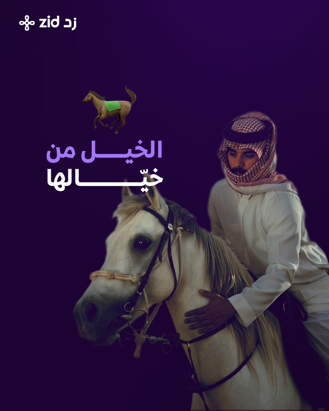 زد — حملة برامج النمّو