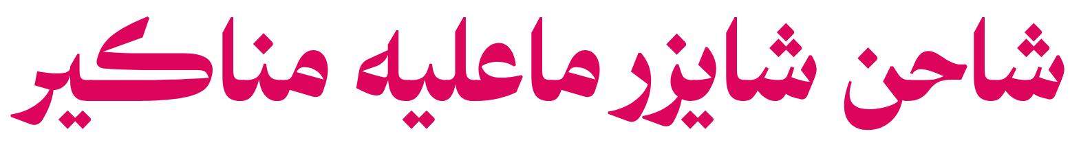 شاحن شايزر ماعليه مناكير